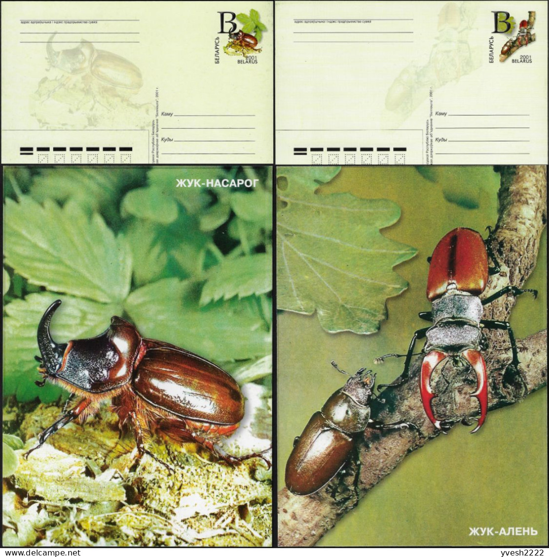 Dictature De Belarus 2001. 2 Entiers Postaux, Cartes Coléoptères. Tirages 3000. Coléoptère Du Cerf, Rhinocéros - Kevers