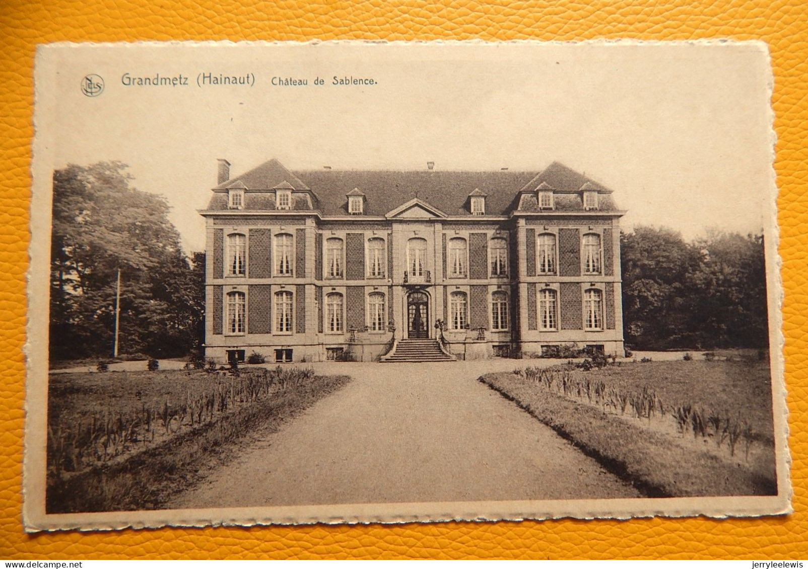 GRANDMETZ  (Leuze)  - Château De Sablence - Leuze-en-Hainaut