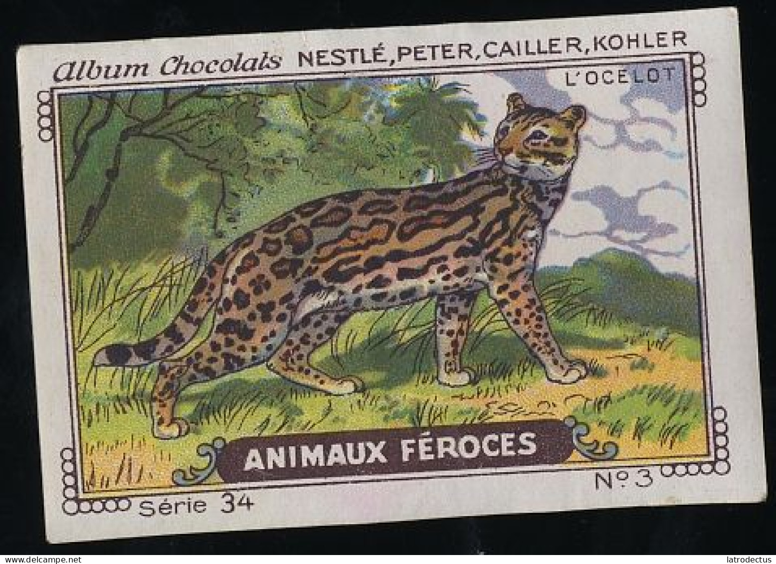 Nestlé - 34 - Animaux Féroces, Fierce Animals - 3 - L'Ocelot - Nestlé