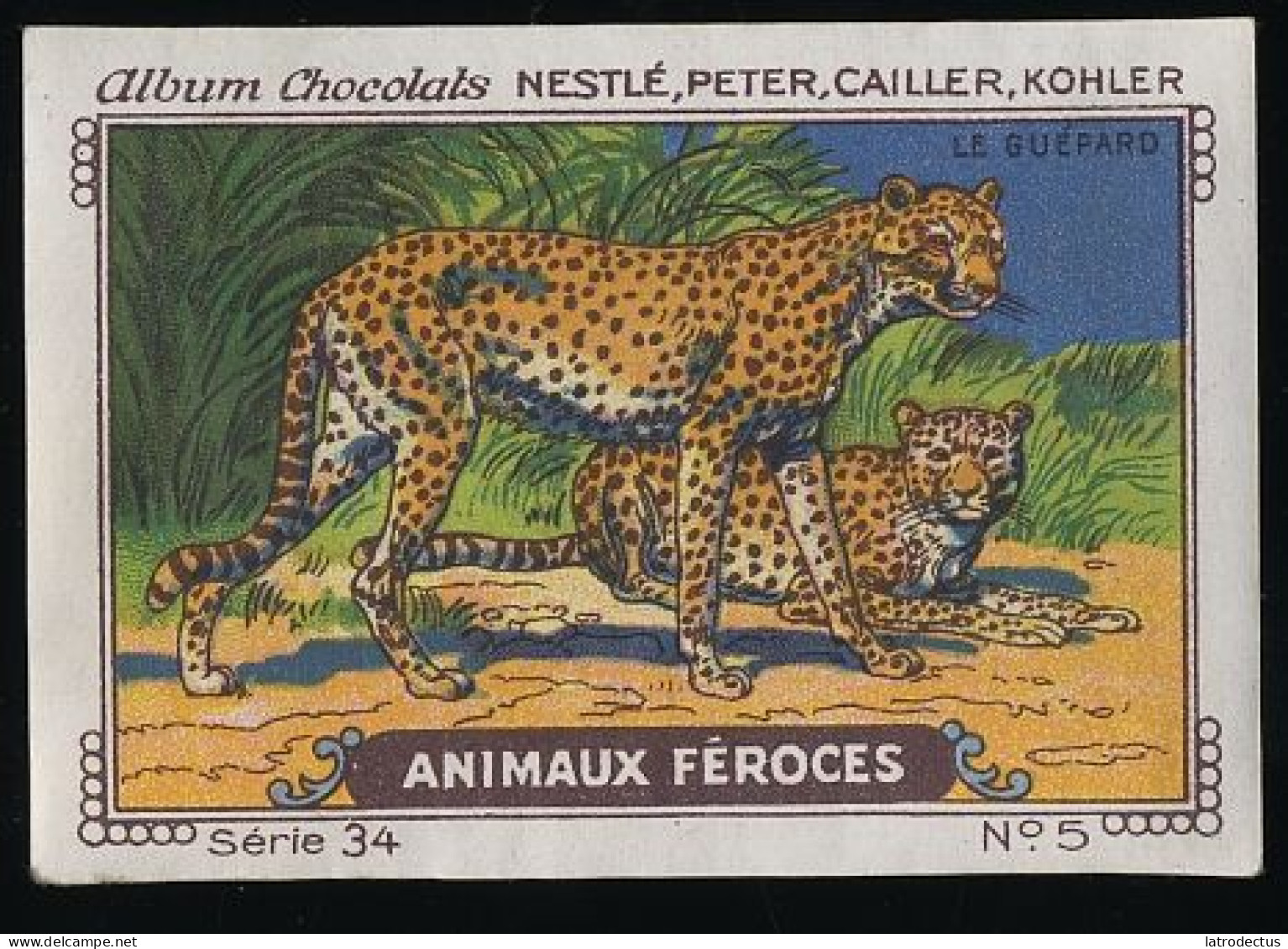 Nestlé - 34 - Animaux Féroces, Fierce Animals - 5 - Le Guépard, Cheetah - Nestlé