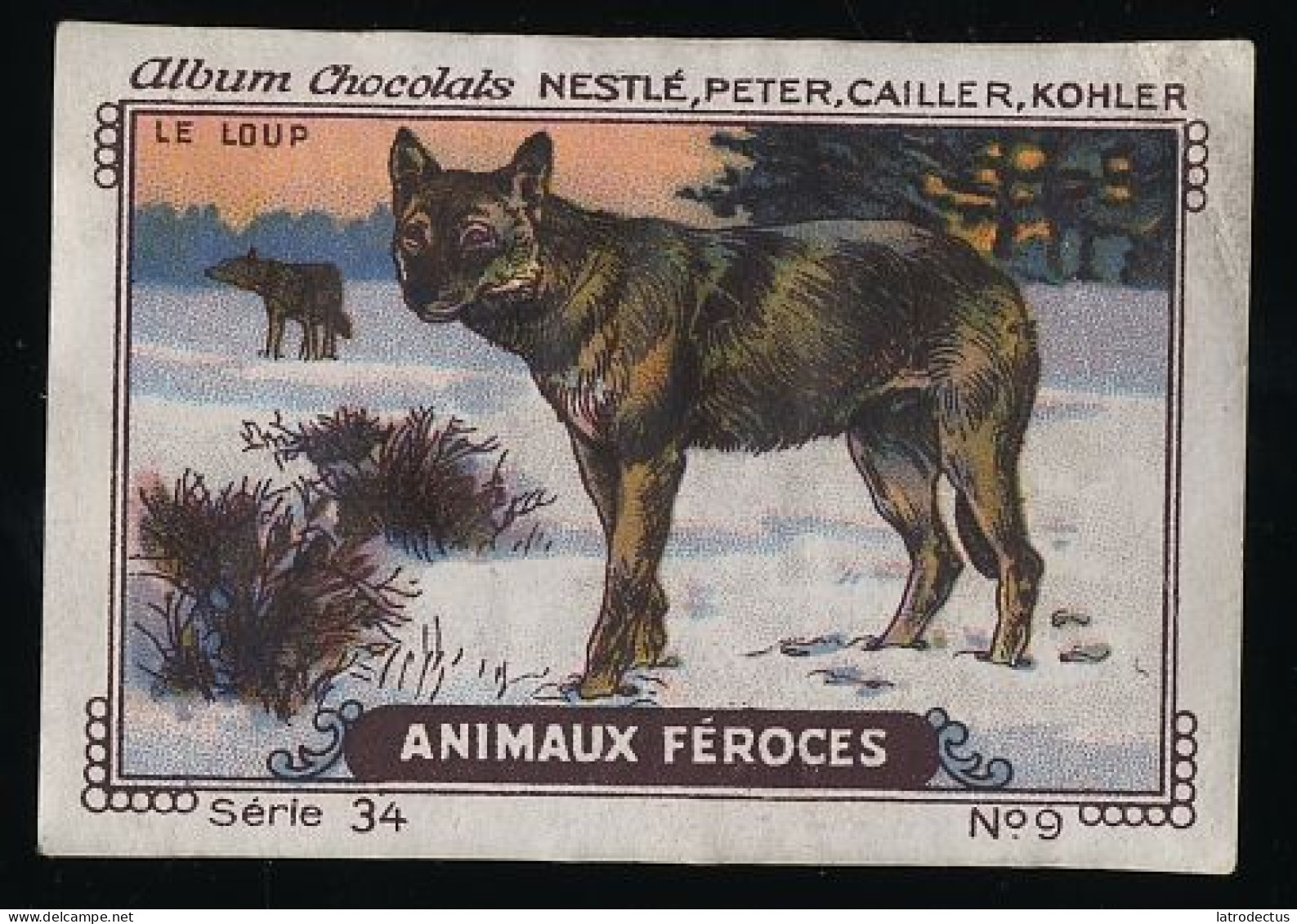 Nestlé - 34 - Animaux Féroces, Fierce Animals - 9 - Loup, Wolf - Nestlé