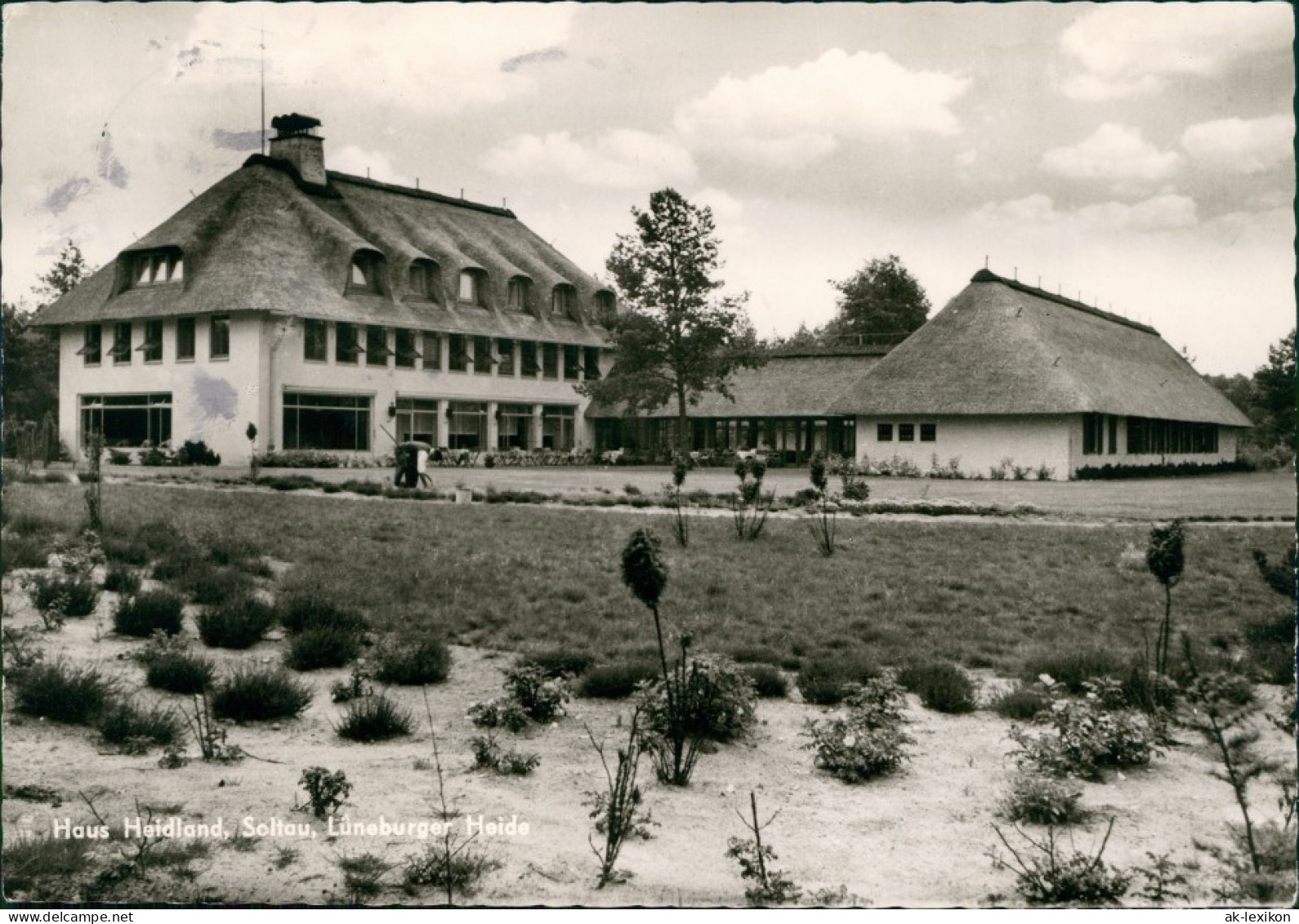 Ansichtskarte Soltau Haus Heidland Inh. L. Lübelsmeyer 1964 - Soltau