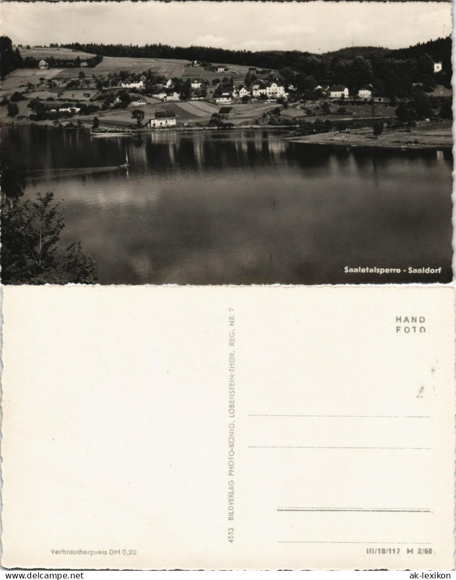 Bad Lobenstein Saaletalsperre Blick Auf Saaldorf DDR Ansicht 1960 - Lobenstein