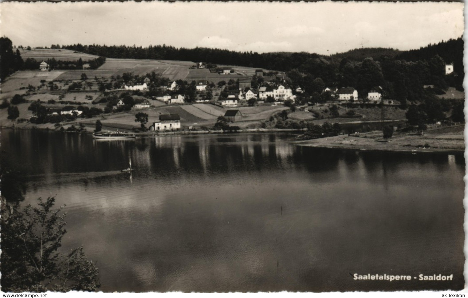 Bad Lobenstein Saaletalsperre Blick Auf Saaldorf DDR Ansicht 1960 - Lobenstein