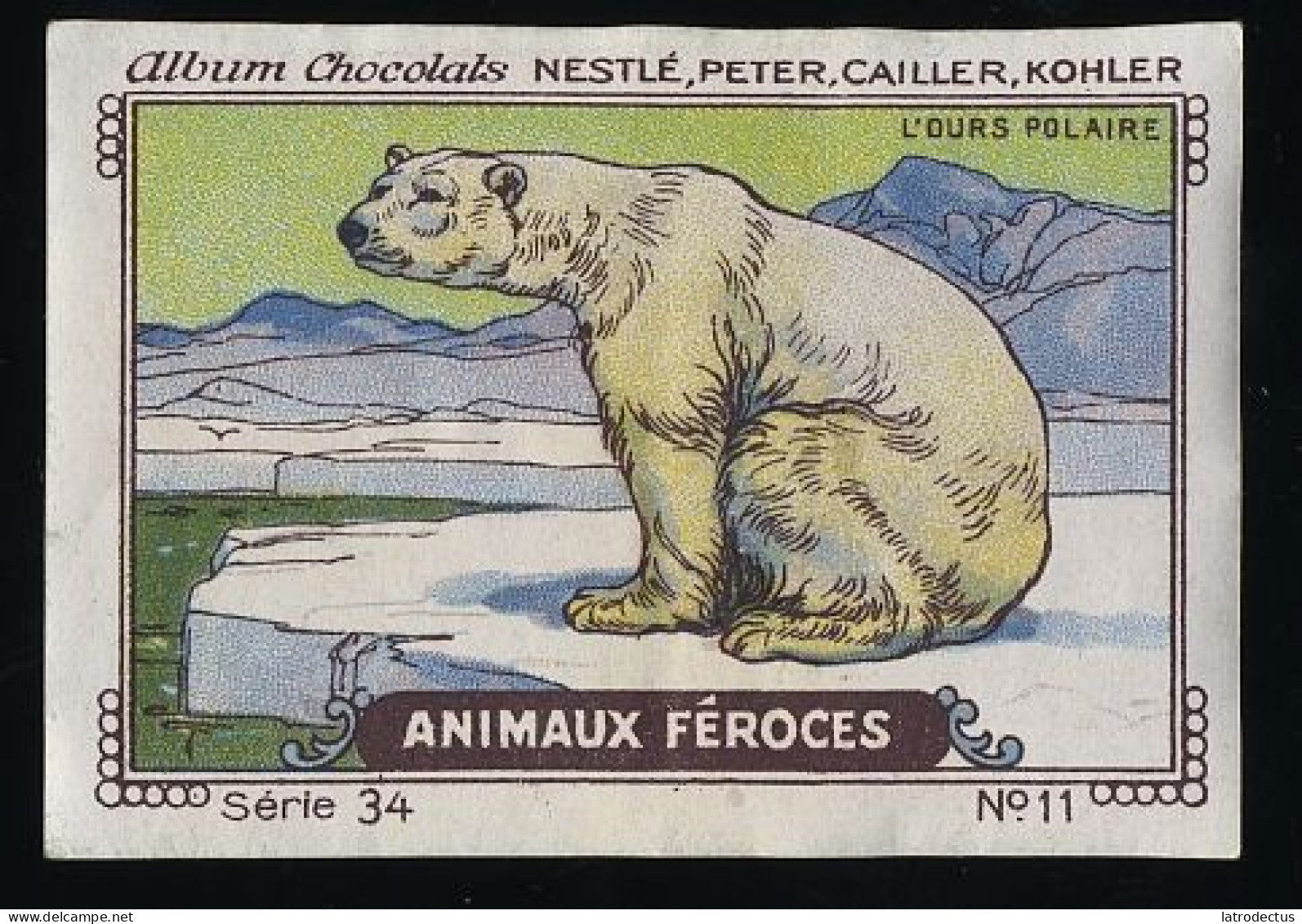 Nestlé - 34 - Animaux Féroces, Fierce Animals - 11 - L'ours Polaire, Ice Bear - Nestlé