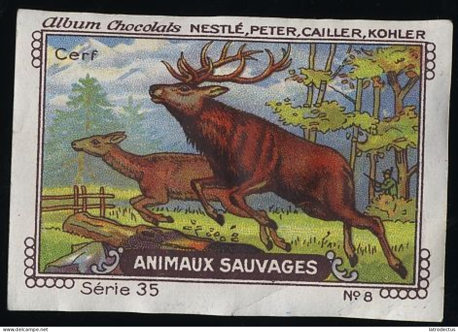 Nestlé - 35 - Animaux Sauvages, Wild Animals - 8 - Cerf, Deer - Nestlé