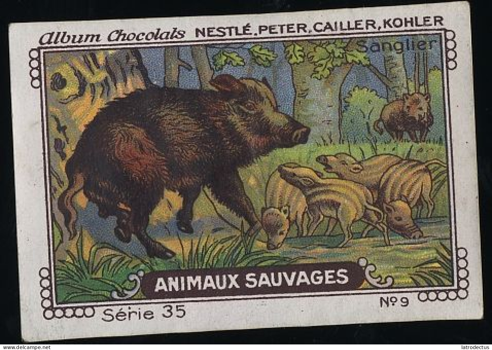 Nestlé - 35 - Animaux Sauvages, Wild Animals - 9 - Sanglier, Boar, Wild Pig - Nestlé