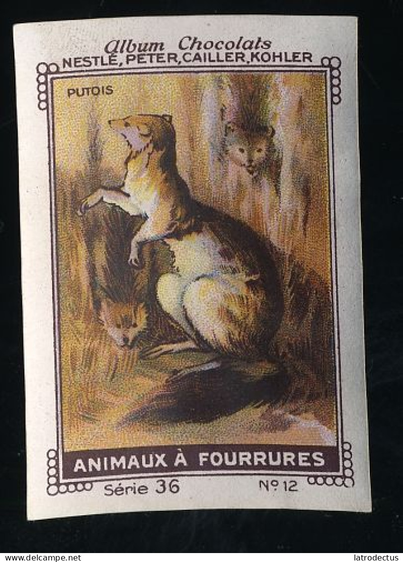 Nestlé - 36 - Animaux à Fourrures, Fur Animals - 12 - Putois, Polecat - Nestlé