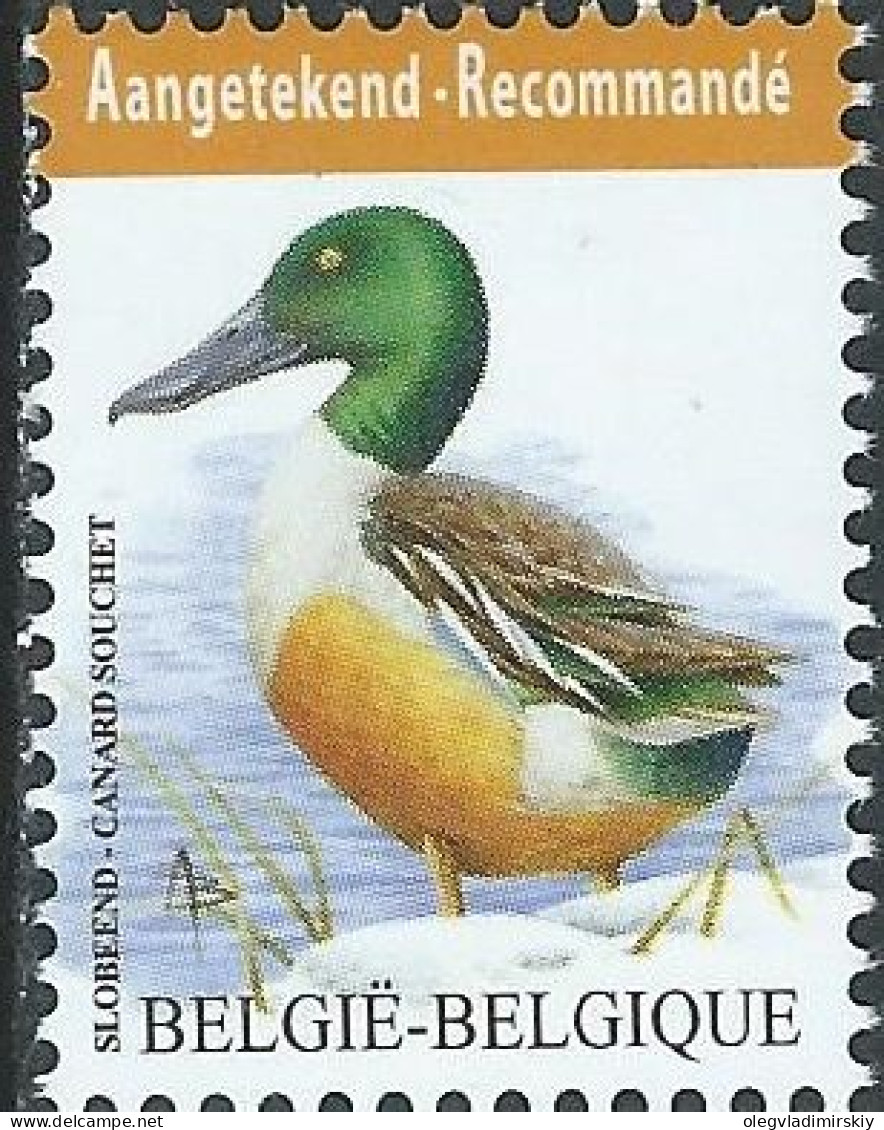 Belgium Belgique Belgien 2015 Bird Shoveler Duck Definitive High Face Value Stamp MNH - Entenvögel