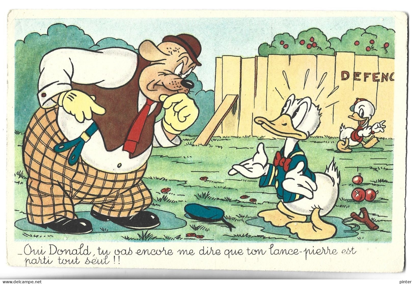 WALT DISNEY - DONALD - Altri & Non Classificati