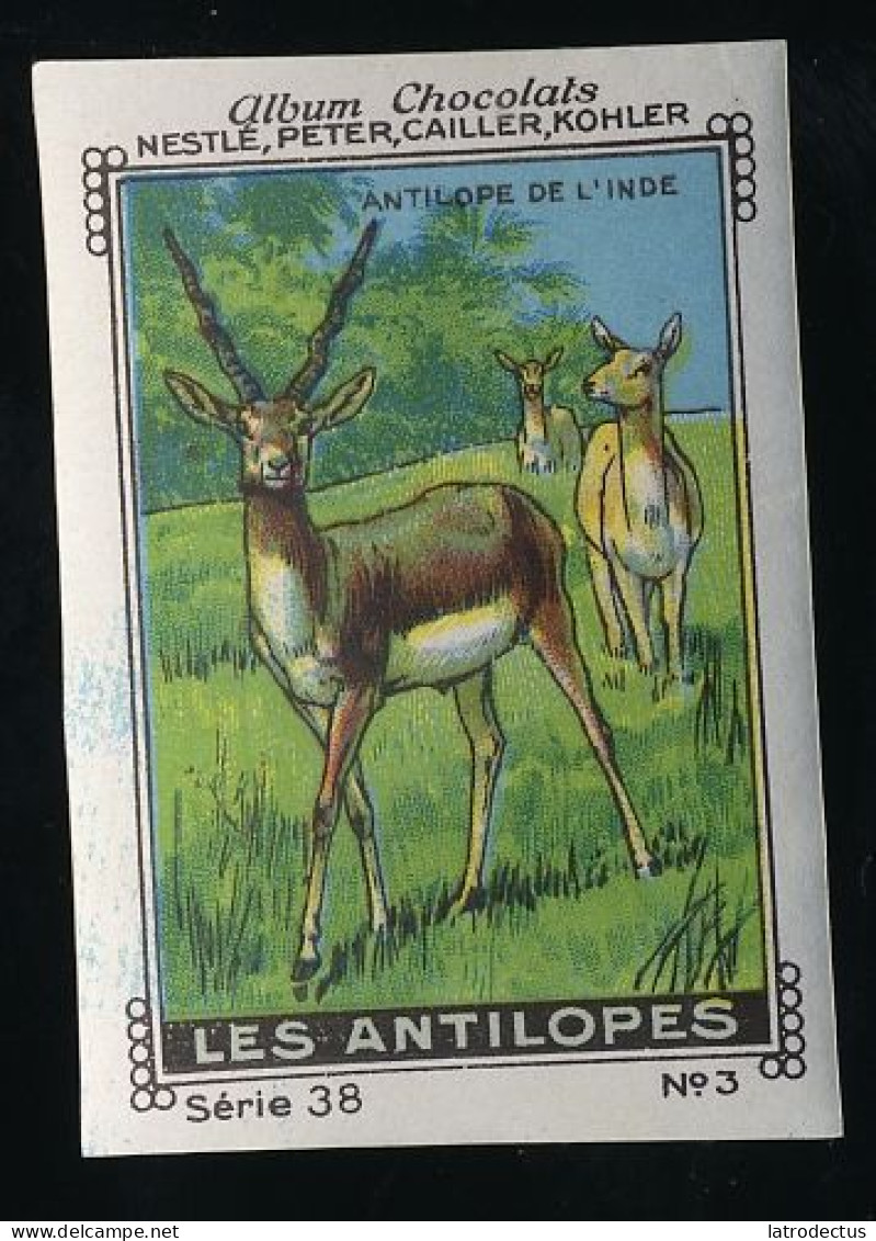 Nestlé - 38 - Les Antilopes, Antelopes - 3 - Antilope De L'Inde, L'Antilope Cervicapre, Blackbuck - Nestlé