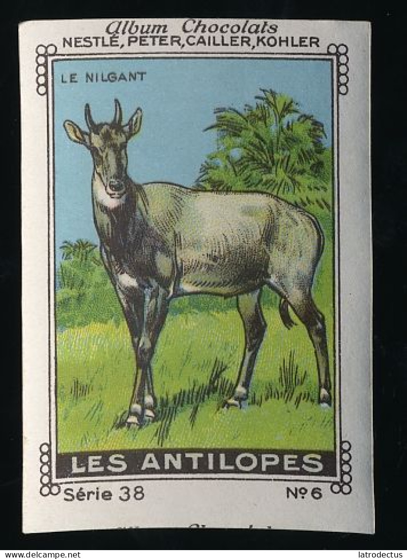 Nestlé - 38 - Les Antilopes, Antelopes - 6 - Le Nilgant, L'Antilope Nilgaut, Nilgai Or Blue Bull - Nestlé