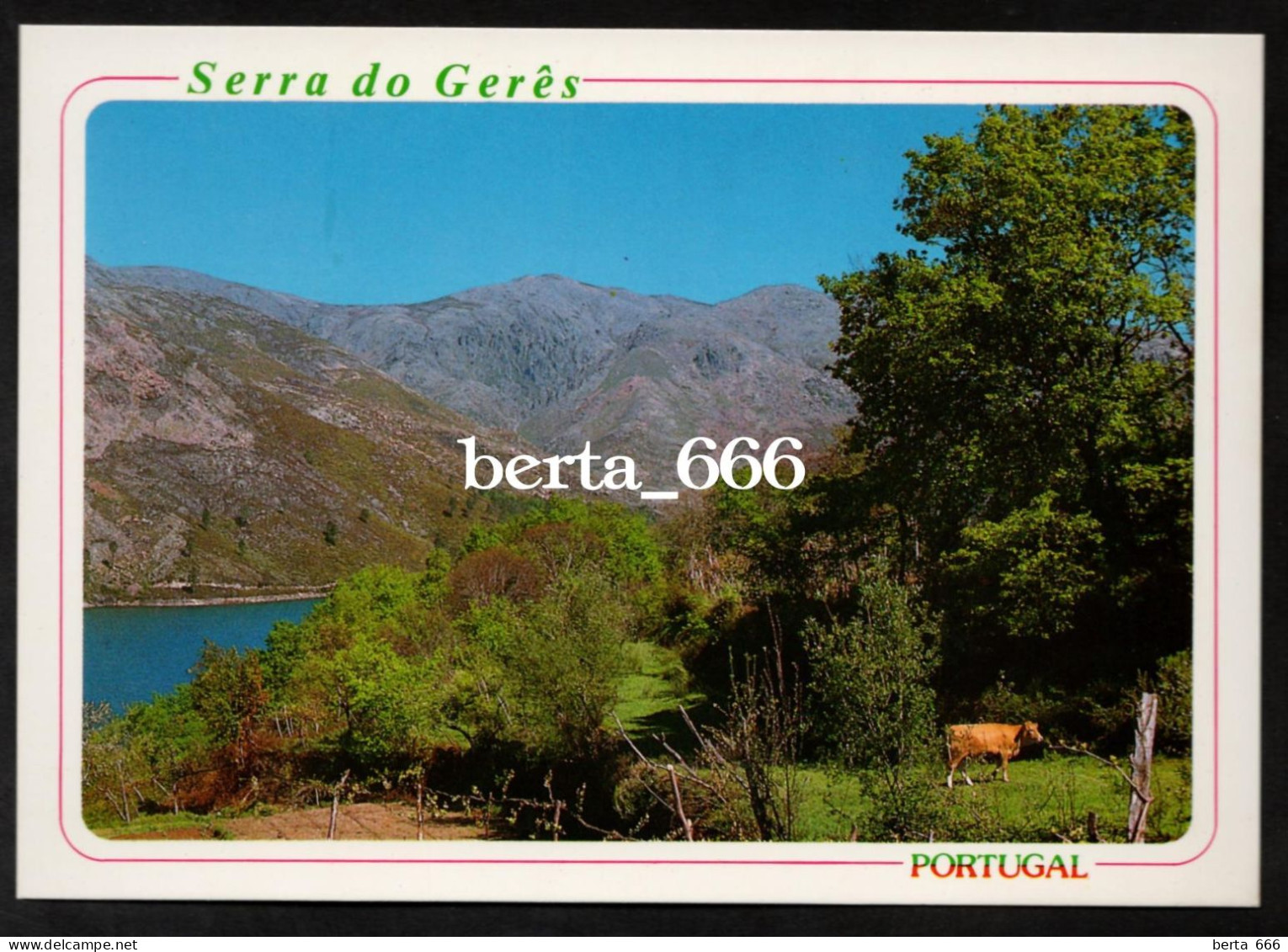 Paisagem Da Serra Do Gerês - Braga