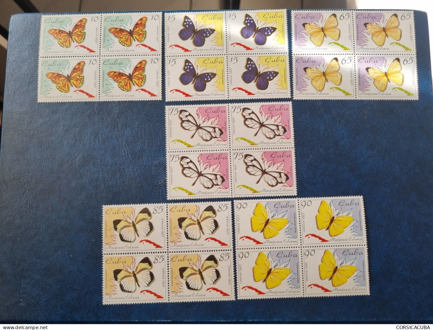 CUBA  NEUF  1995   MARIPOSAS  CUBANAS  //  PARFAIT  ETAT  //  1er  CHOIX  // Bloc De 4 - Unused Stamps