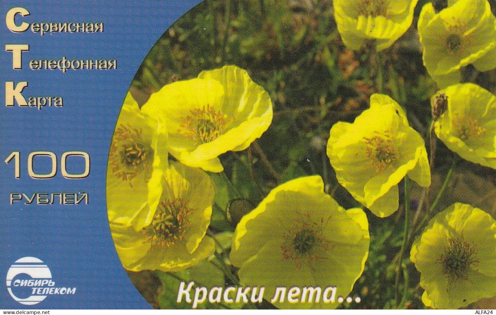 PREPAID PHONE CARD RUSSIA Sibirtelecom - Norilsk, Krasnoyarsk Region CTK (CZ397 - Russie