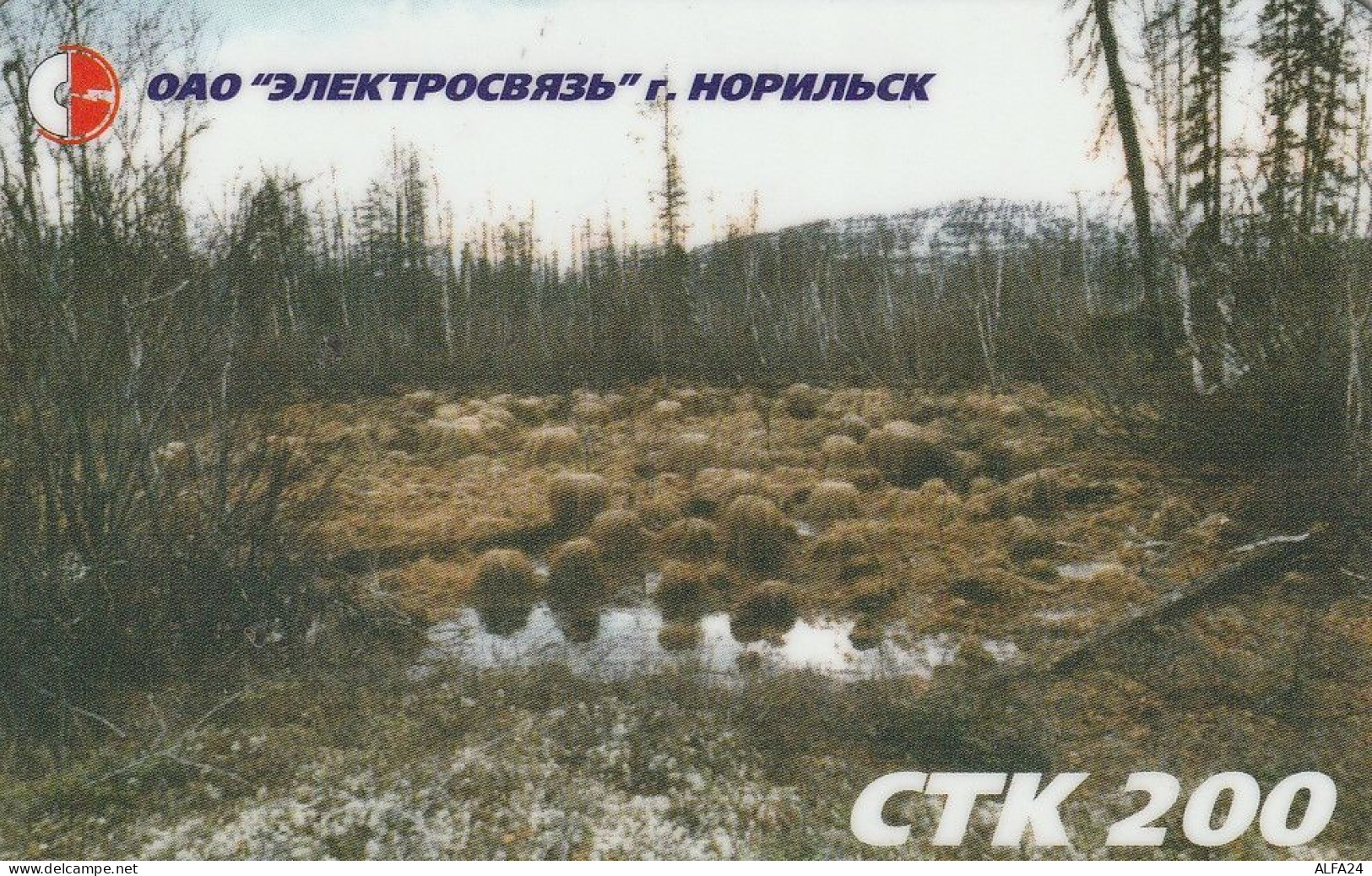 PREPAID PHONE CARD RUSSIA Sibirtelecom - Norilsk, Krasnoyarsk Region CTK (CZ357 - Russie