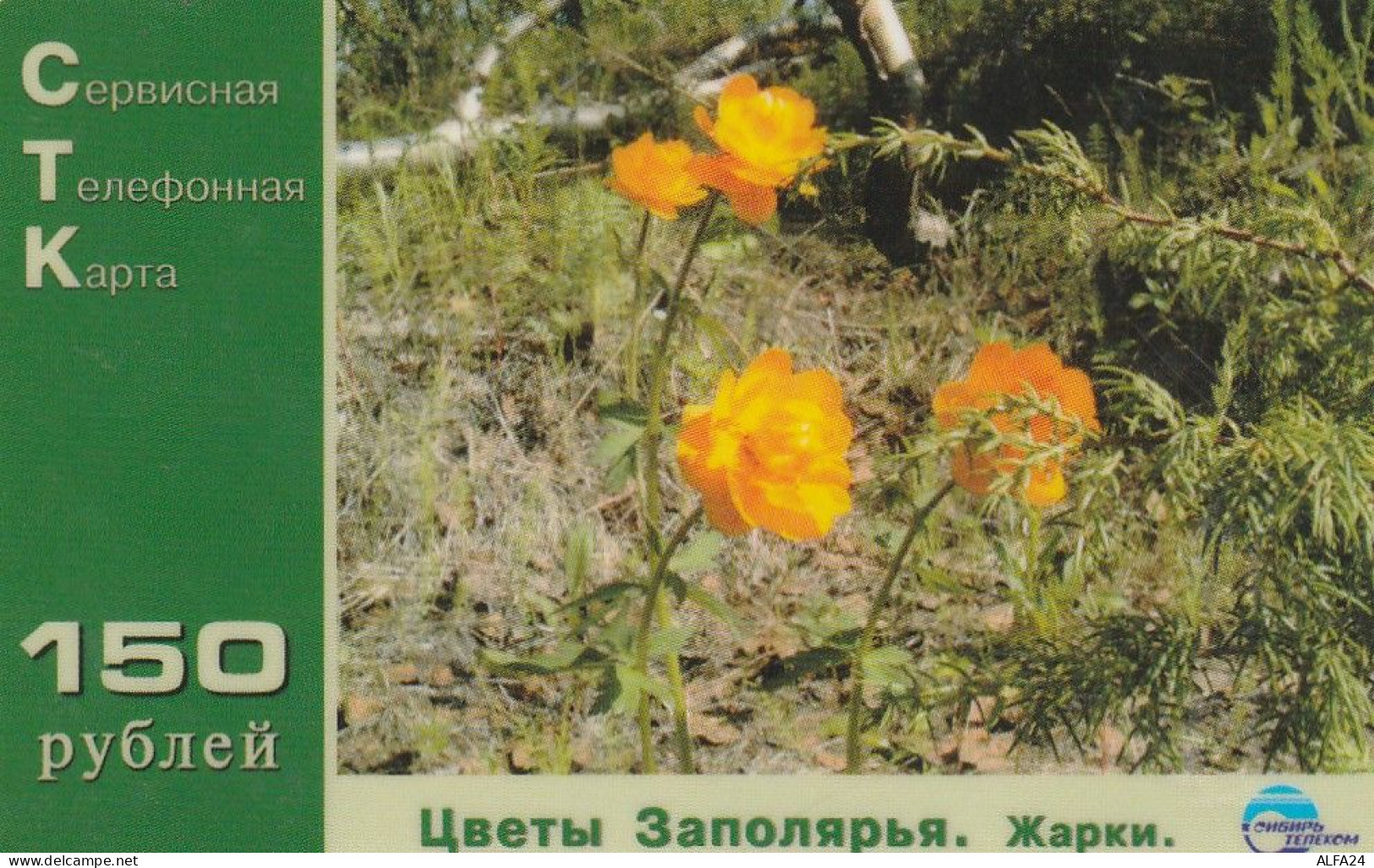 PREPAID PHONE CARD RUSSIA Sibirtelecom - Norilsk, Krasnoyarsk Region CTK (CZ310 - Russia