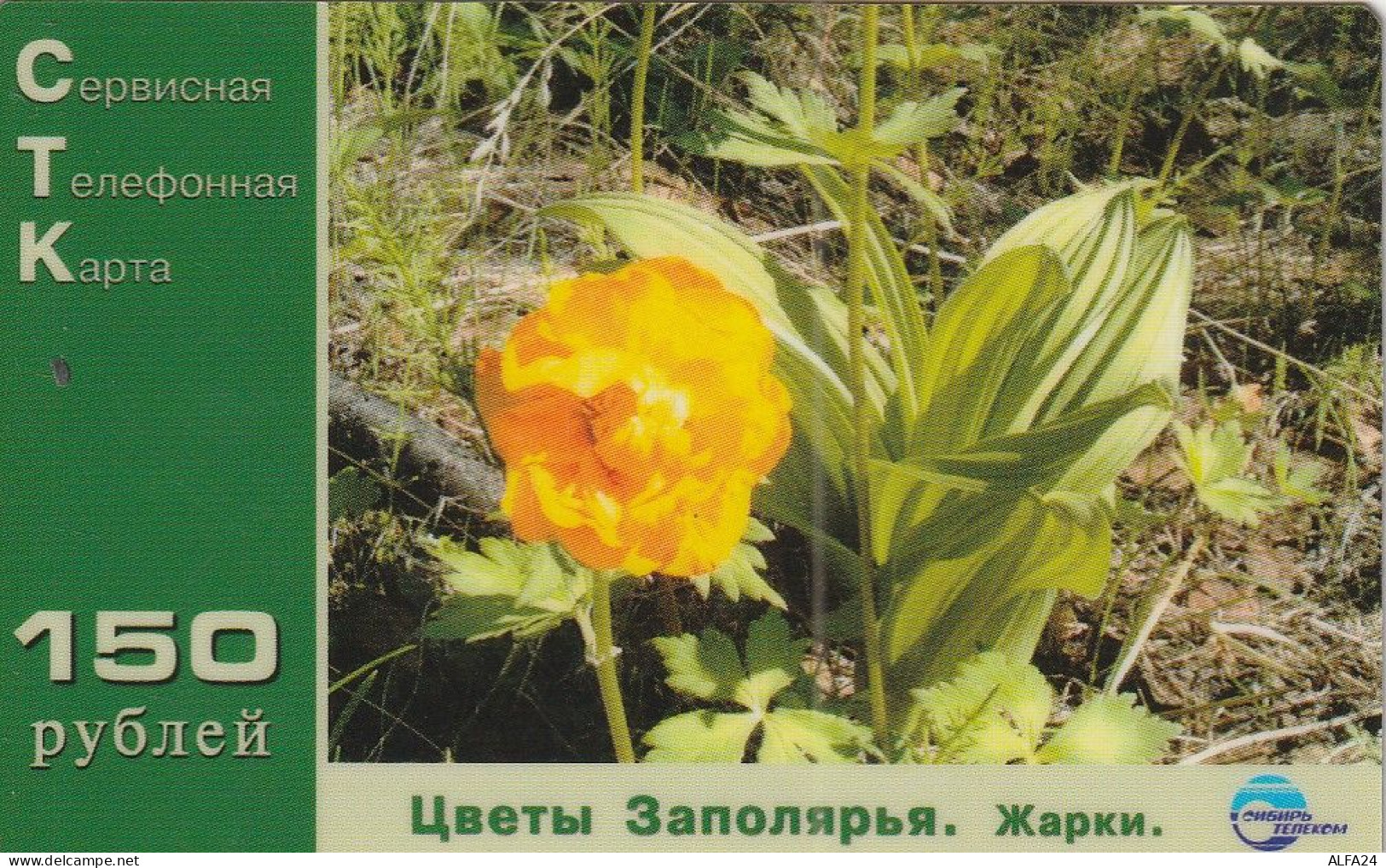 PREPAID PHONE CARD RUSSIA Sibirtelecom - Norilsk, Krasnoyarsk Region CTK (CZ311 - Russie