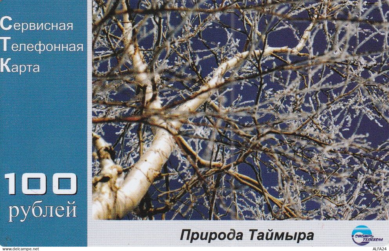 PREPAID PHONE CARD RUSSIA Sibirtelecom - Norilsk, Krasnoyarsk Region CTK (CZ267 - Russie