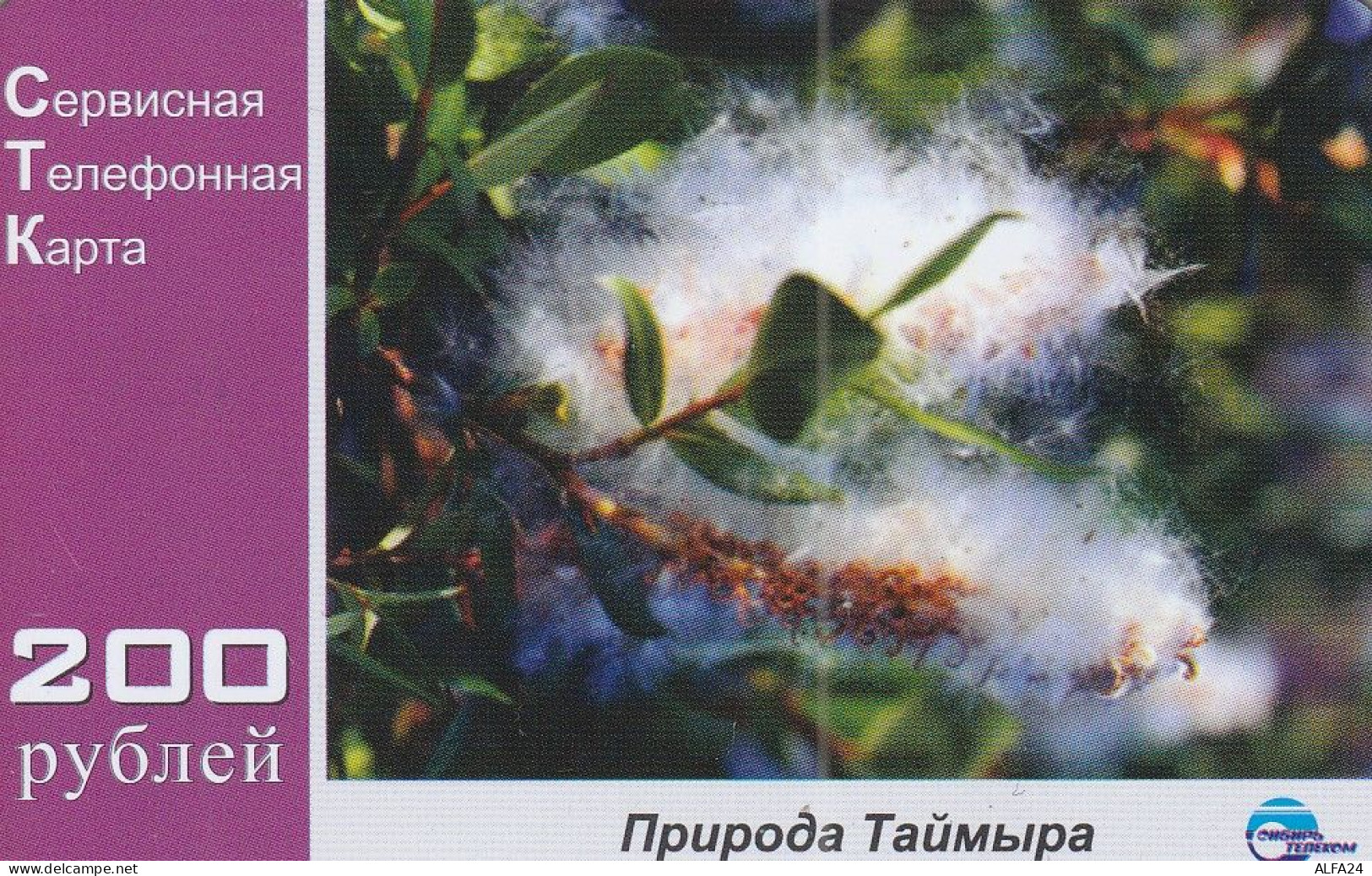 PREPAID PHONE CARD RUSSIA Sibirtelecom - Norilsk, Krasnoyarsk Region CTK (CZ269 - Russland