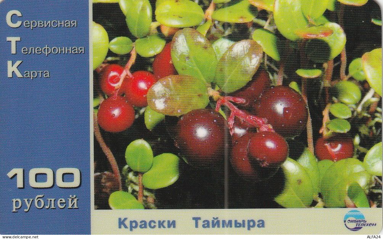 PREPAID PHONE CARD RUSSIA Sibirtelecom - Norilsk, Krasnoyarsk Region CTK (CZ245 - Russland