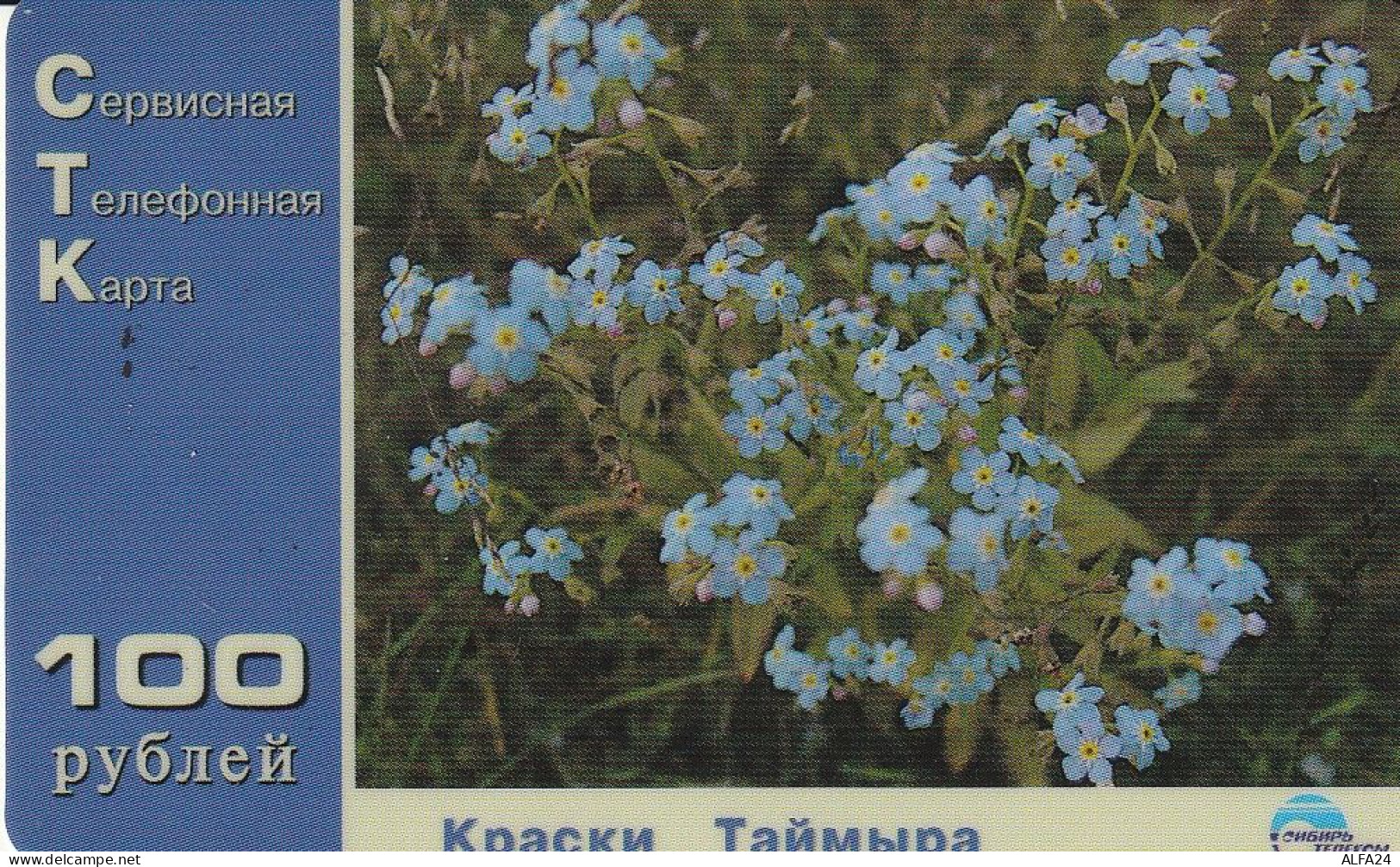 PREPAID PHONE CARD RUSSIA Sibirtelecom - Norilsk, Krasnoyarsk Region CTK (CZ242 - Russie