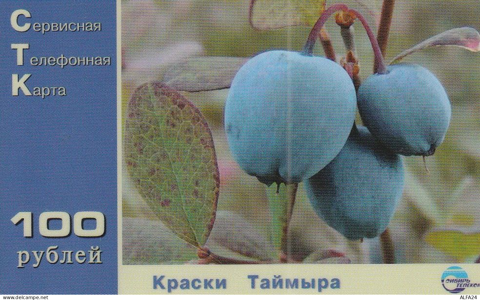 PREPAID PHONE CARD RUSSIA Sibirtelecom - Norilsk, Krasnoyarsk Region CTK (CZ241 - Rusia