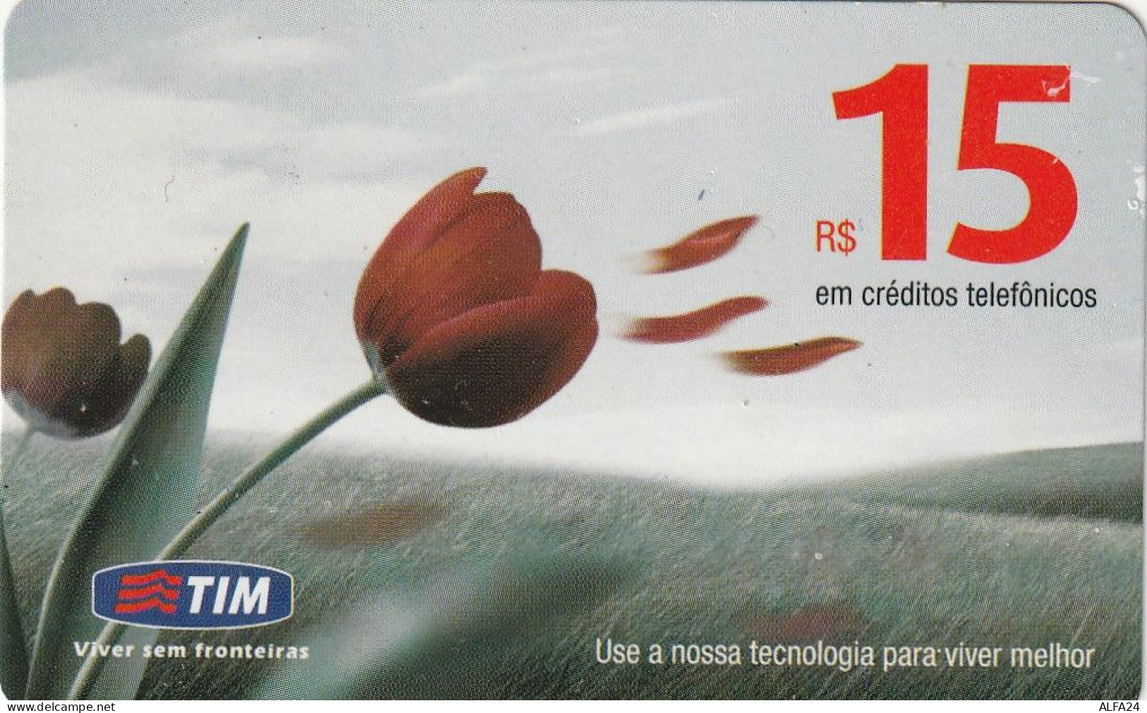 PREPAID PHONE CARD BRASILE TIM (CZ32 - Brazil