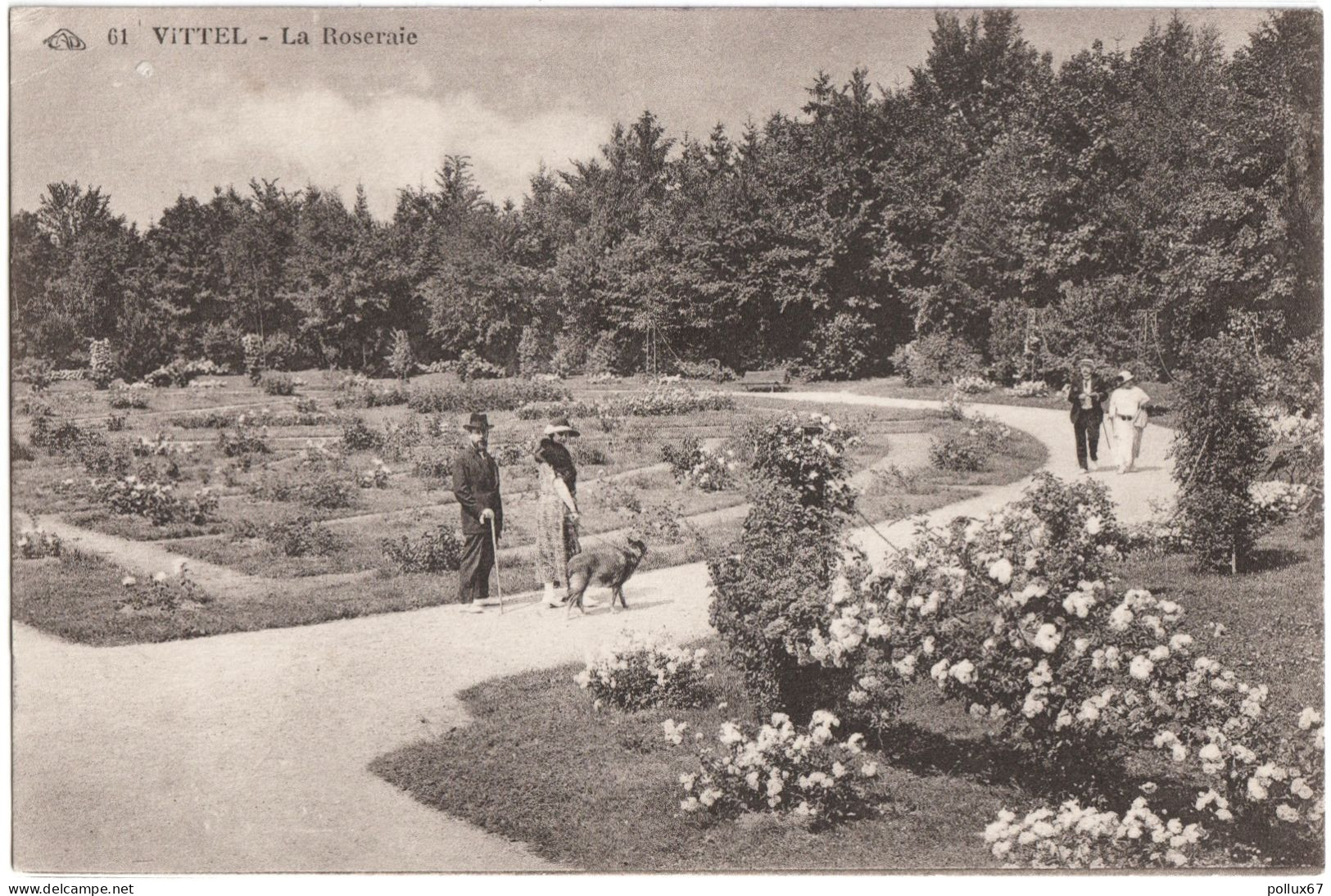 LOT 2 CPA DE VITTEL  (VOSGES)  LE PARC - LA GRANDE ALLÉE. LA ROSERAIE - Vittel