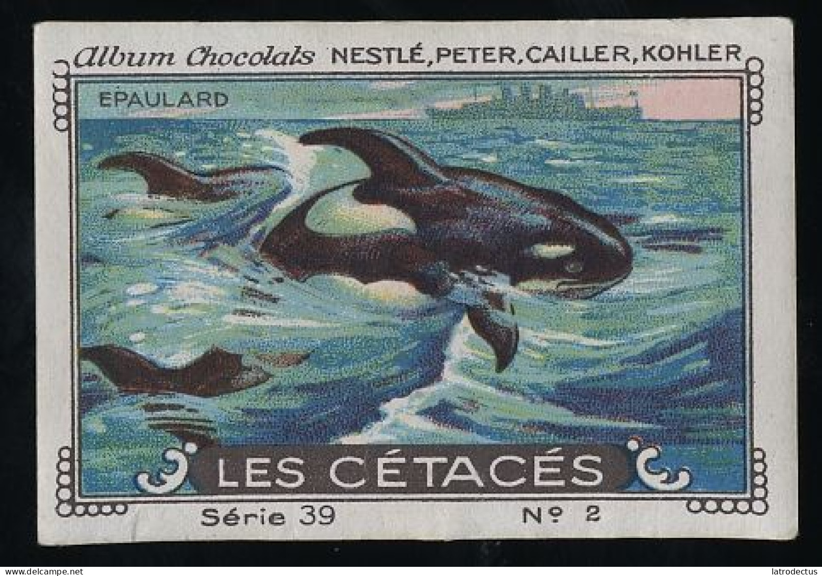 Nestlé - 39 - Les Cétacés, Cetacea - 2 - Epaulard, Orque, Orca - Nestlé