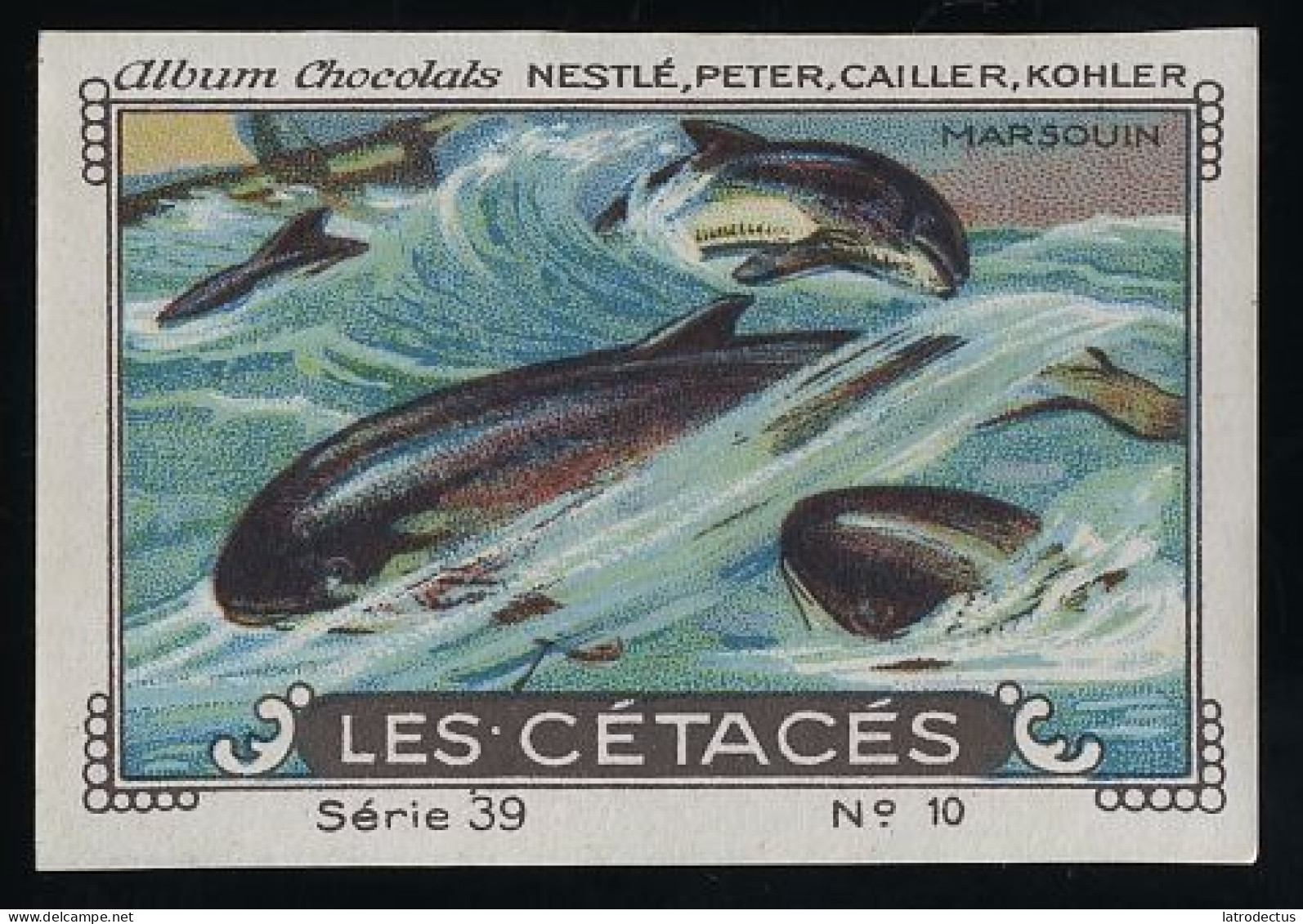 Nestlé - 39 - Les Cétacés, Cetacea - 10 - Marsouin, Porpoise - Nestlé