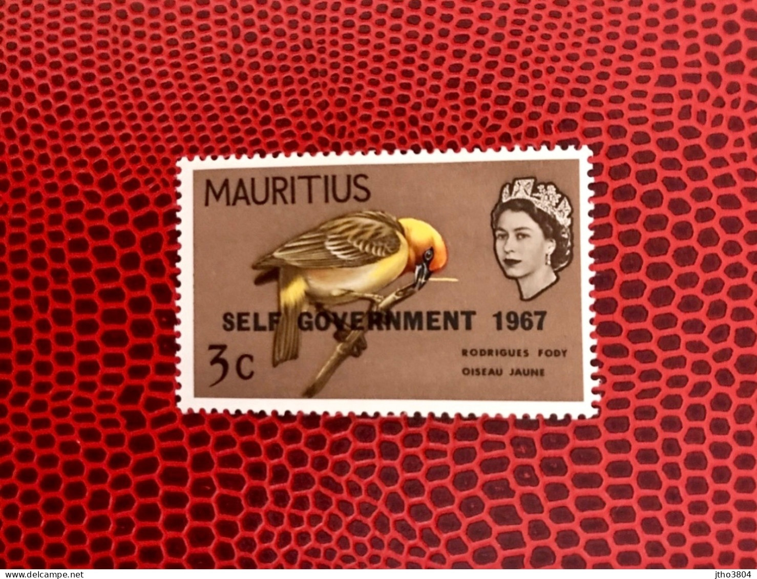 MAURICE 1967 1v Neuf MNH ** YT 297 Mi Pájaro Bird Pássaro Vogel Ucello Oiseau MAURITIUS - Papageien