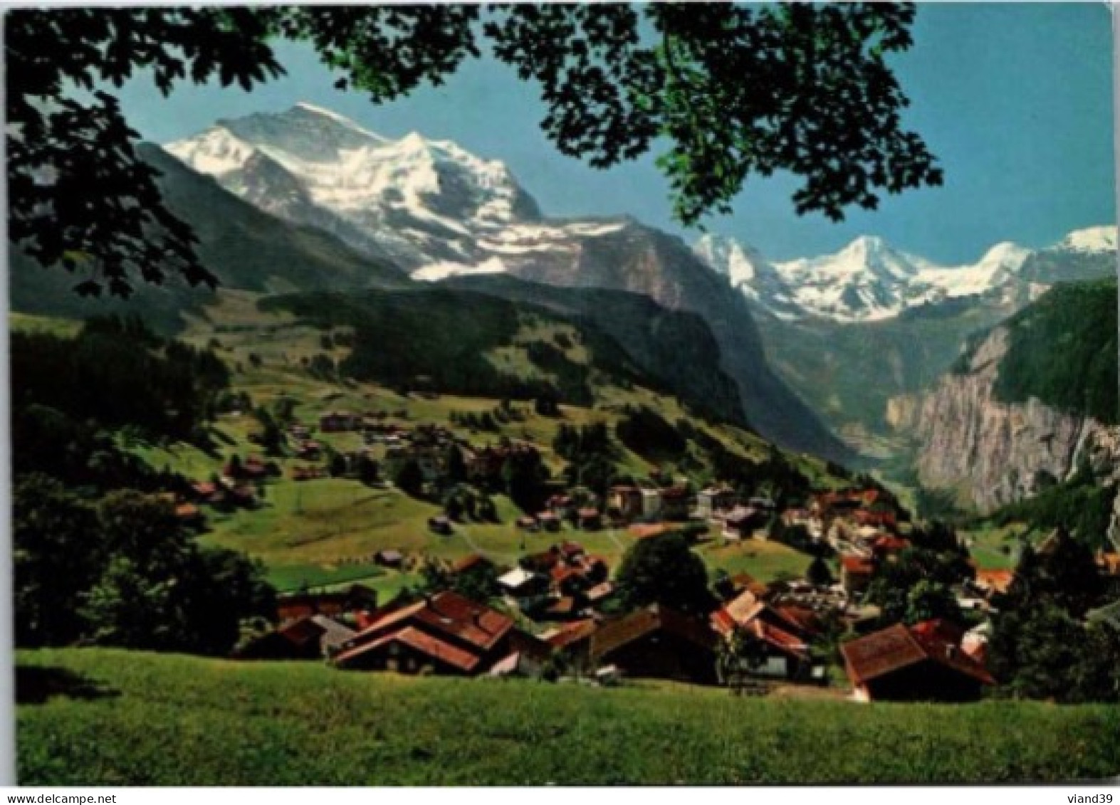 Jungfrau Und Brelthorn. - Wengen