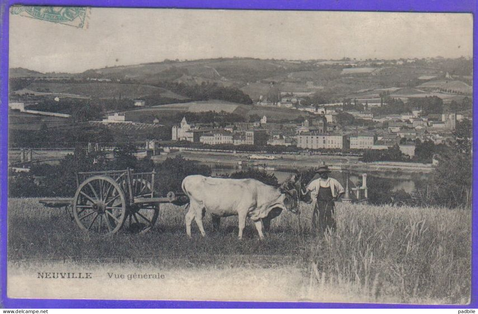 Carte Postale 69. Neuville  Paysan Avec Son Attelage De Boeufs  Très Beau Plan - Neuville Sur Saone