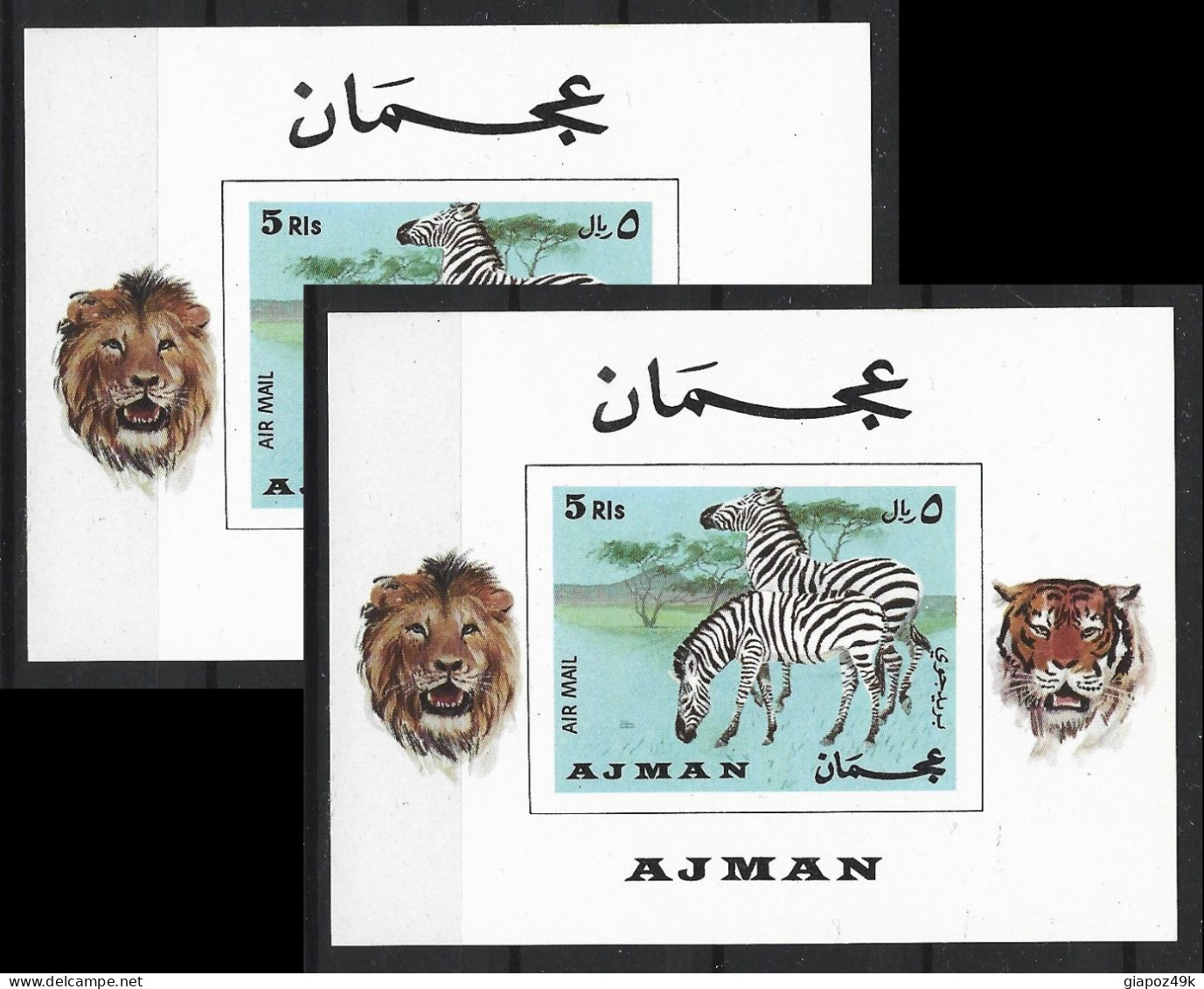 ● Ajman 1969 ֍ ZEBRA  ֍ Leone ● Tigre ● Animals ● 2 BF ** ● Imperforated ● Lotto N. 2252 ● - Ajman
