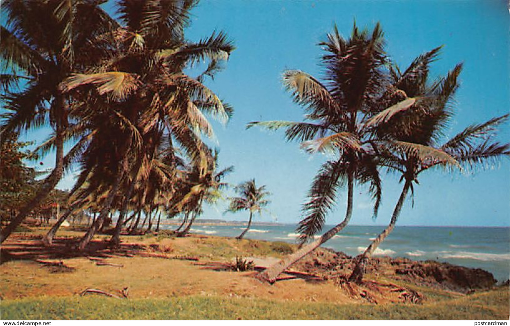 Dominican Republic - Palm-fringed Coast - Publ. Farmacia Esmeralda 1 - Dominikanische Rep.