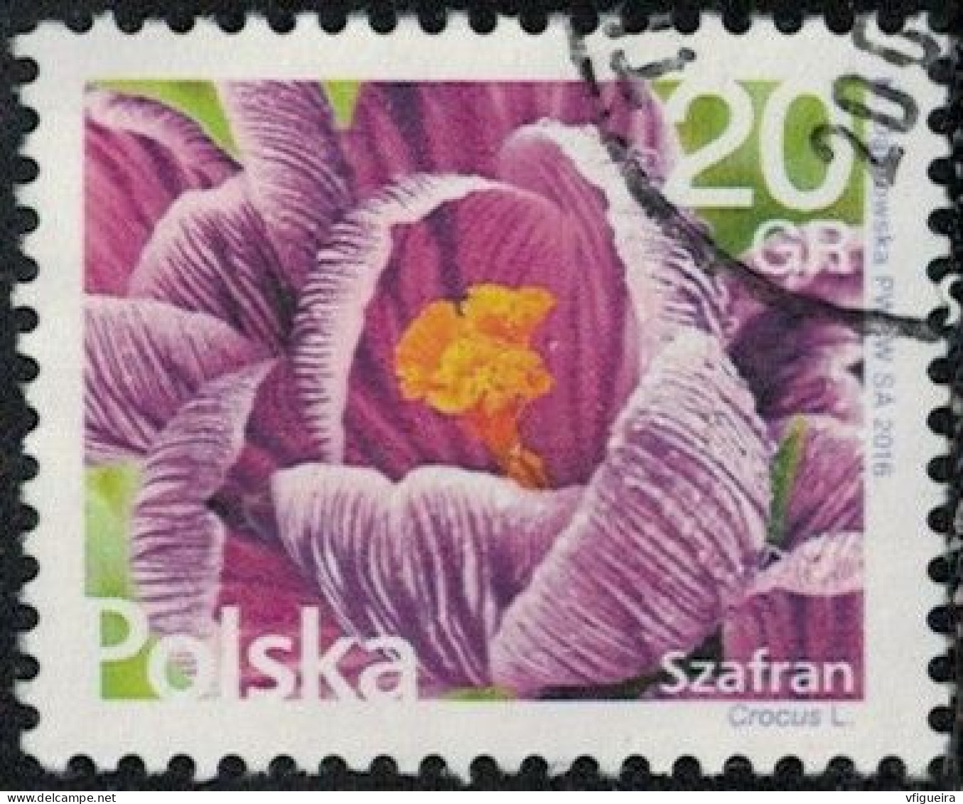 Pologne 2016 Oblitéré Used Safran Crocus Y&T PL 4482 SU - Oblitérés