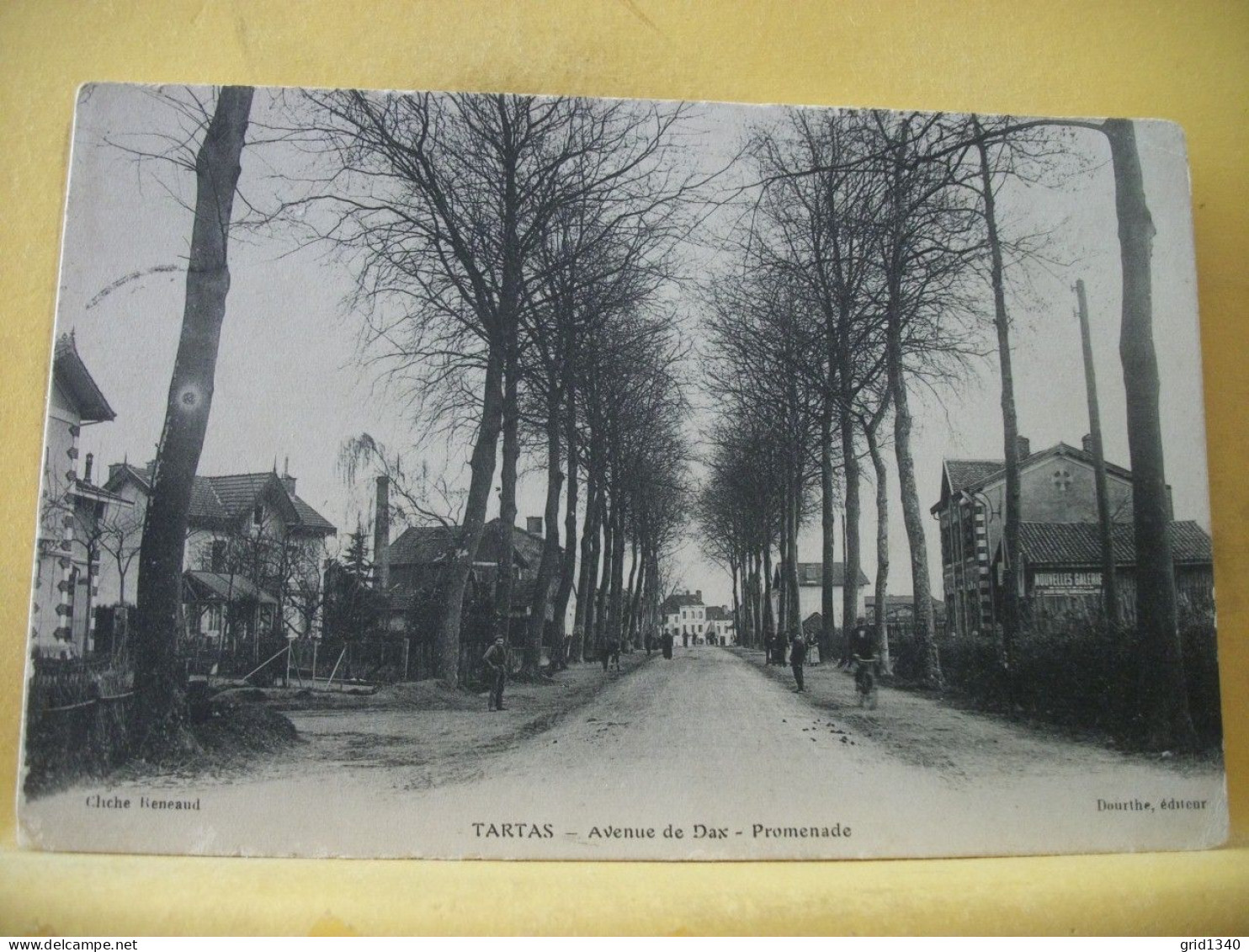 40 3255 CPA 1914 - 40 TARTAS - AVENUE DE DAX - PROMENADE - ANIMATION - Tartas