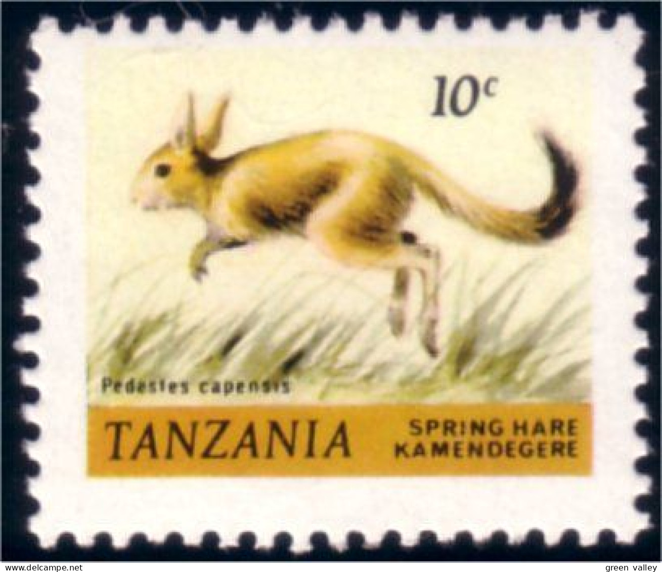 866 Tanzania Spring Hare MNH ** Neuf SC (TZN-37) - Tanzania (1964-...)