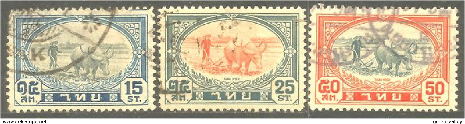 858 Thailand - Siam Plowing Rice Field Labour Rizière Boeuf Oxen (THA-120) - Agricultura