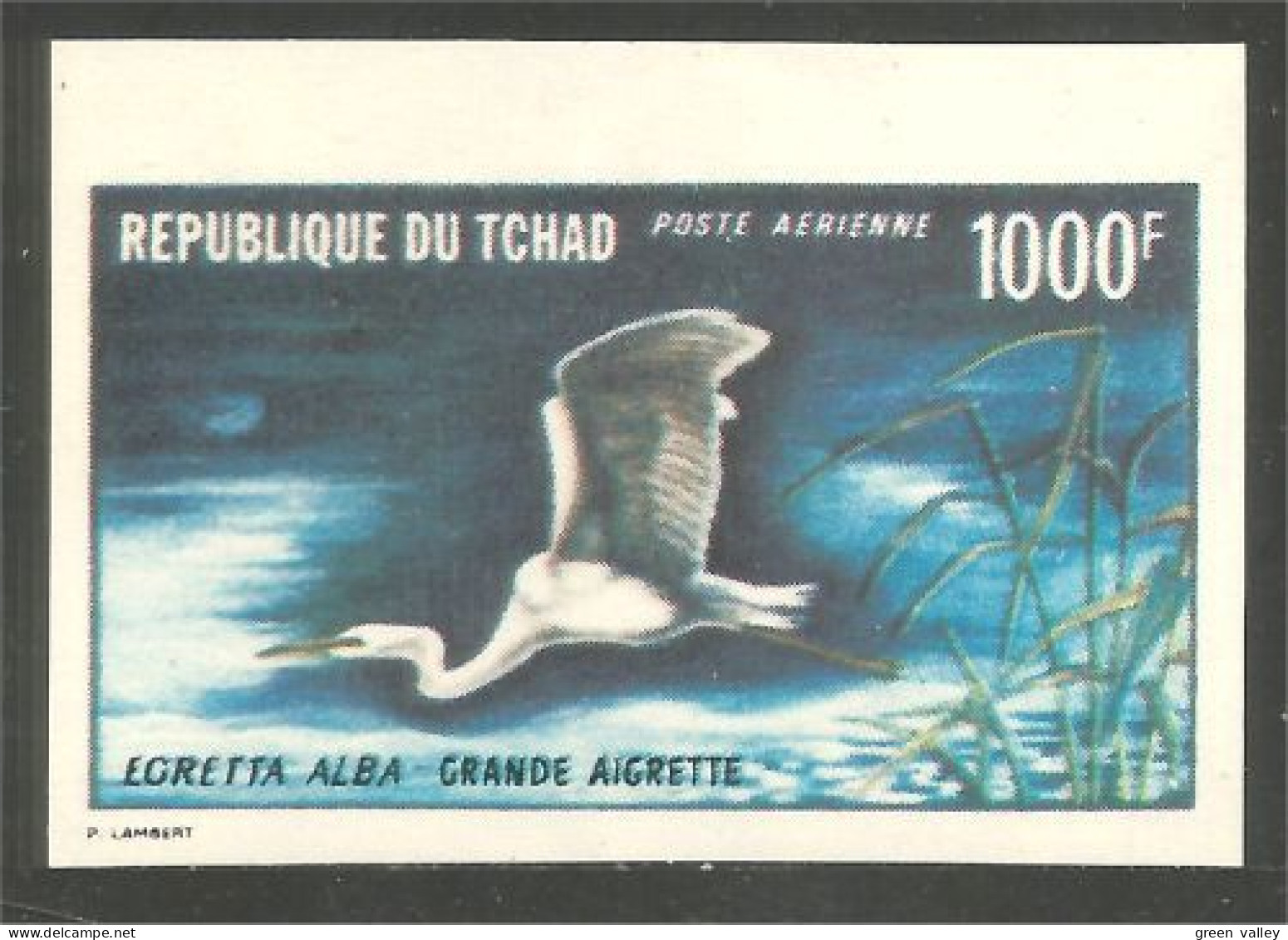 855 Tchad Grande Aigrette Non Dentelé Bord De Feuille MNH ** Neuf SC (TCD-49a) - Kranichvögel