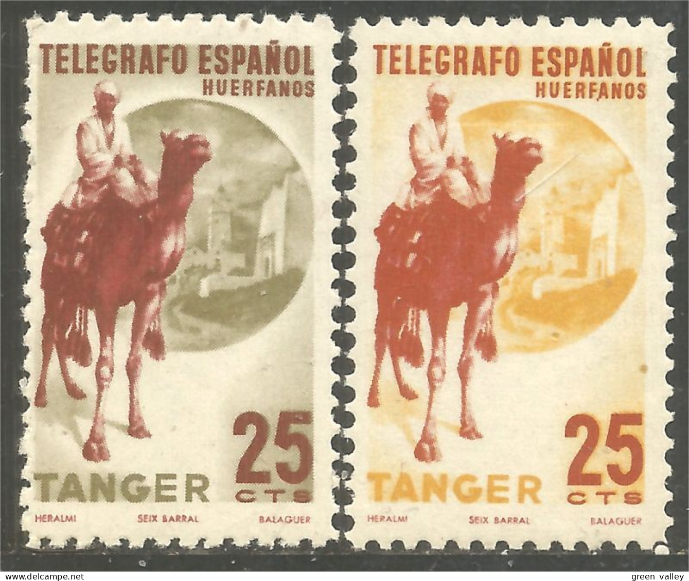 852 Tanger Dromadaire Chameau Camel Kamel Cammello Camello MH * Neuf CH (TAN-5) - Spanish Morocco