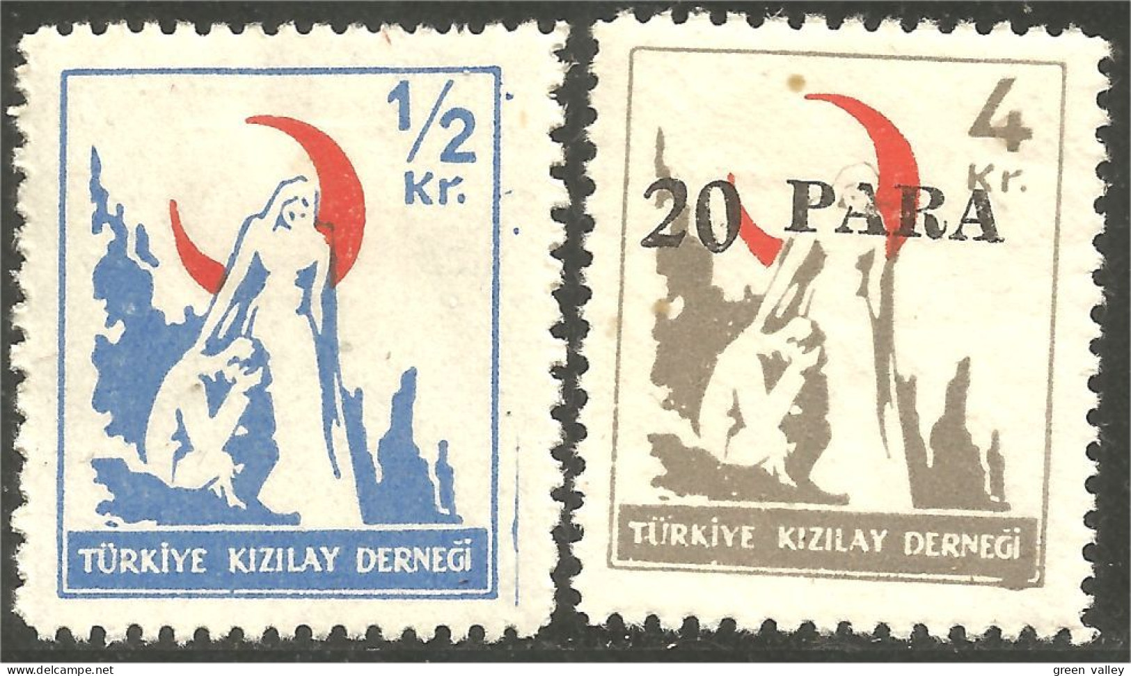 890 Turquie Postal Tax Nurse Infirmière MH * Neuf CH (TUR-36) - Médecine