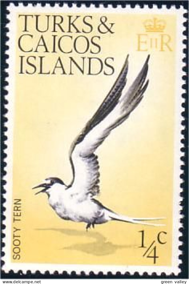 886 Turks Caicos Sterne Sooty Tern MNH ** Neuf SC (TUK-12a) - Möwen