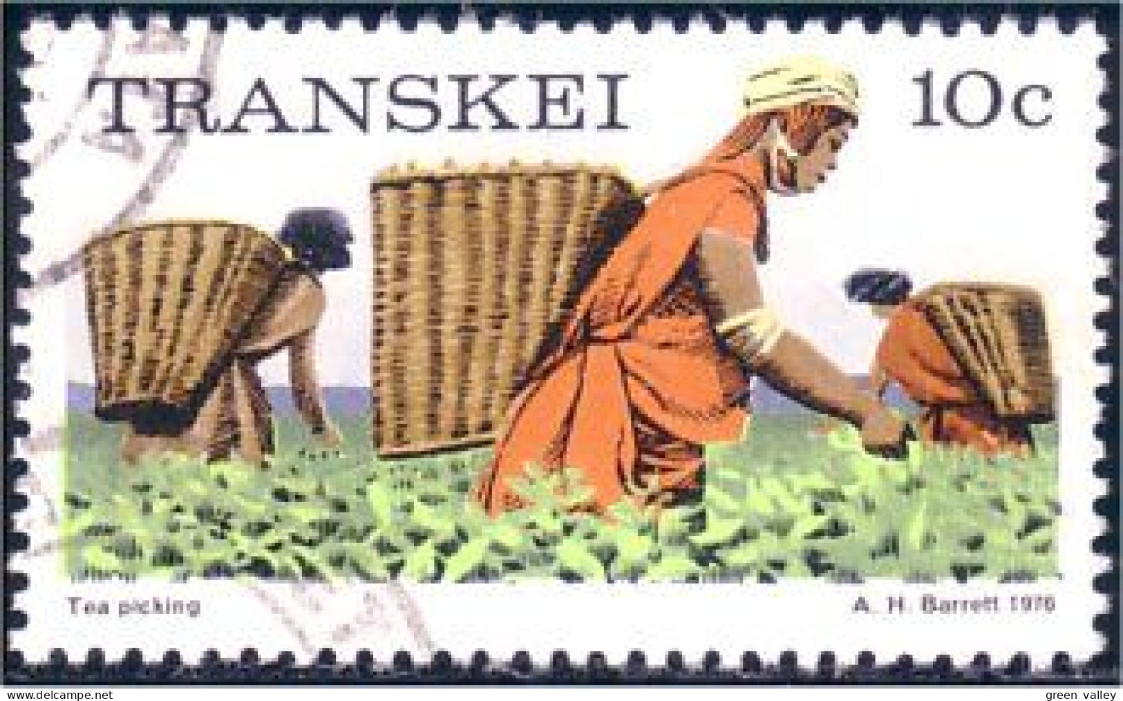 878 Transkei Tea Picking Thé Cueillette (TRK-5) - Agricoltura
