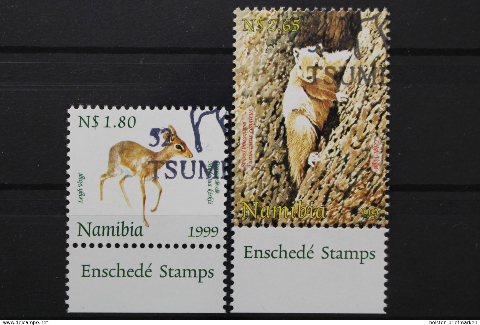 Namibia - Südwestafrika, MiNr. 970-971, Gestempelt - Namibië (1990- ...)