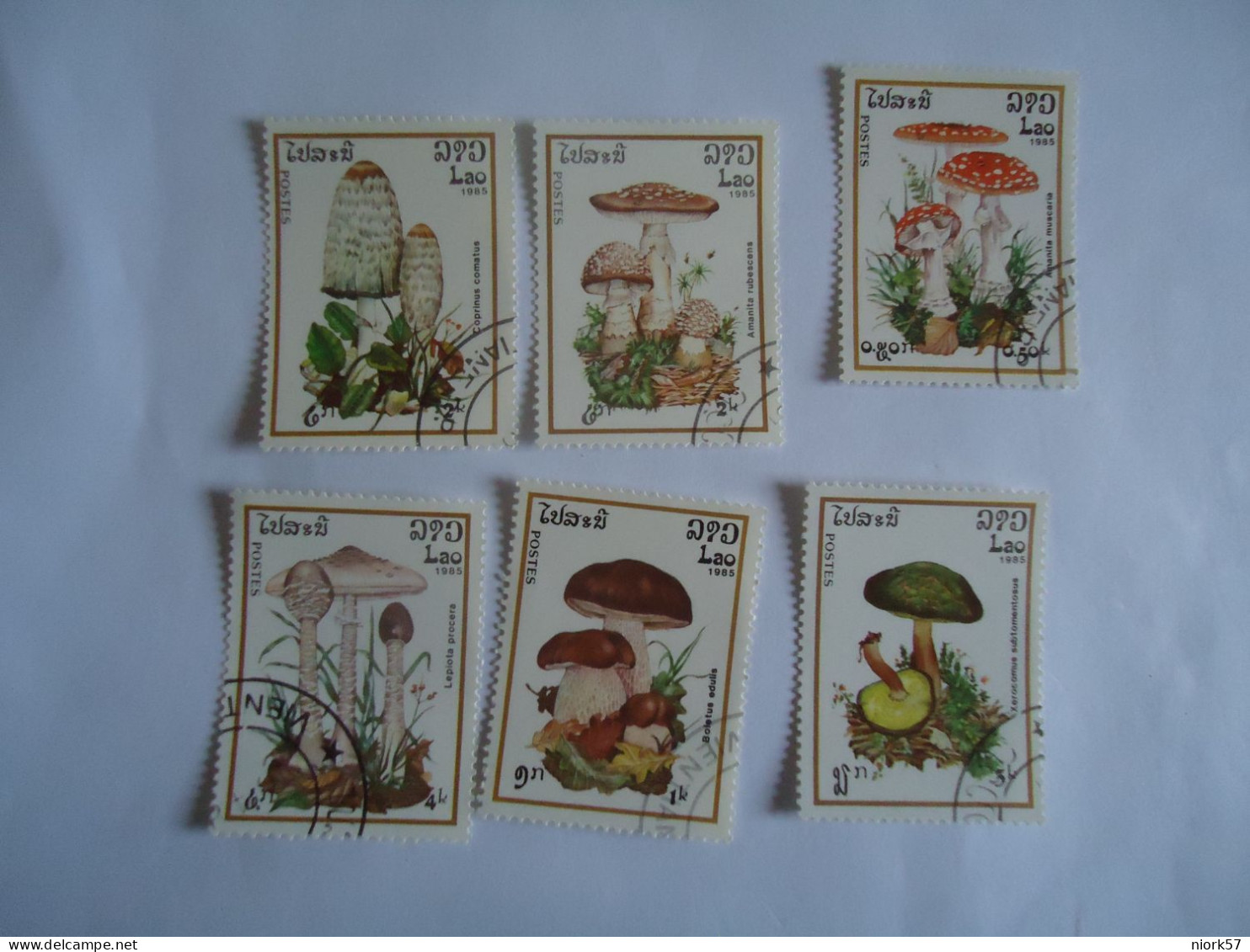 LAOS  6 USED STAMPS MUSHROOMS  1985 - Mushrooms