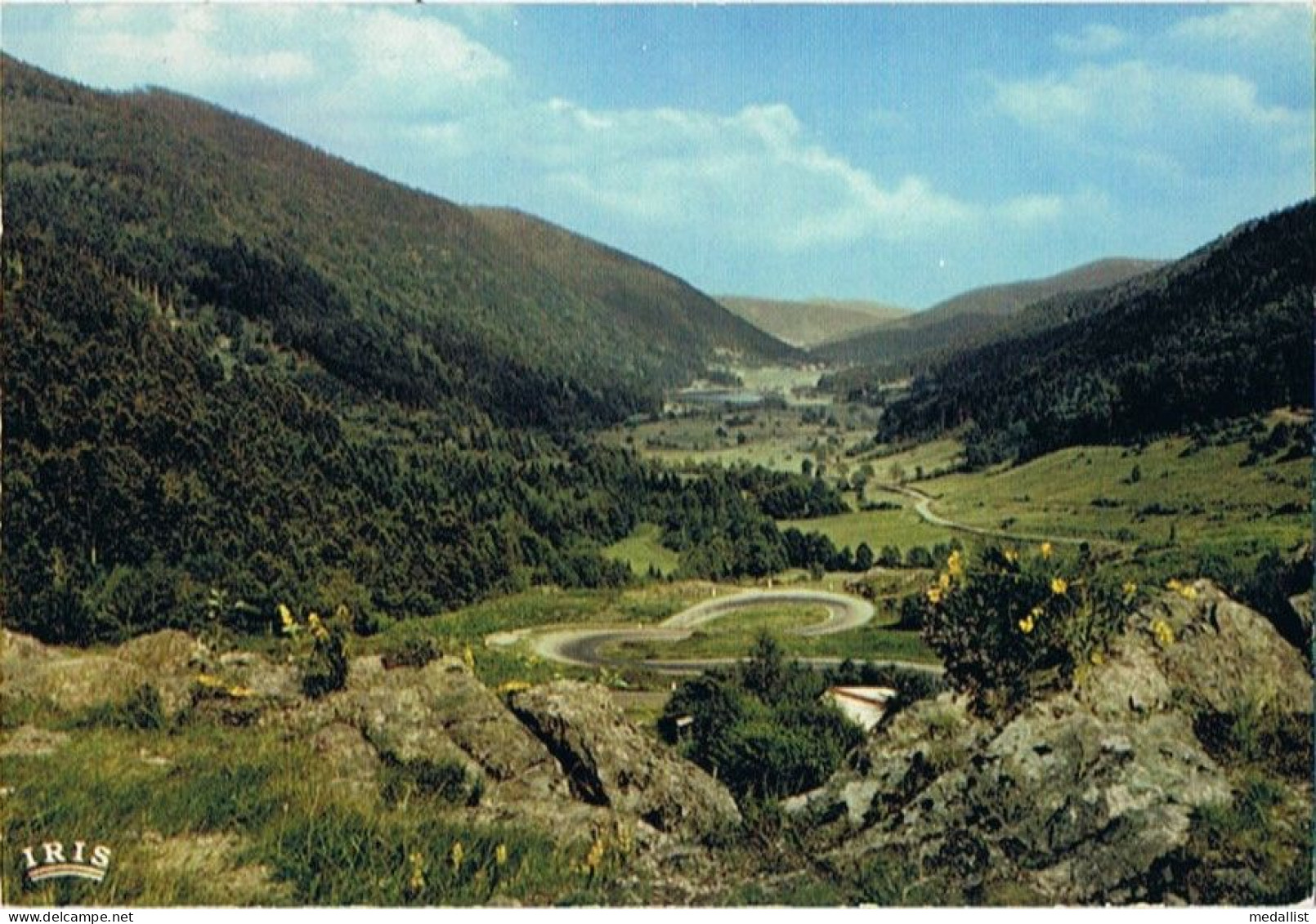 CPM..68..MASSIF DU BALLON D'ALSACE..LA VALLEE DE SEWEN - Alsace