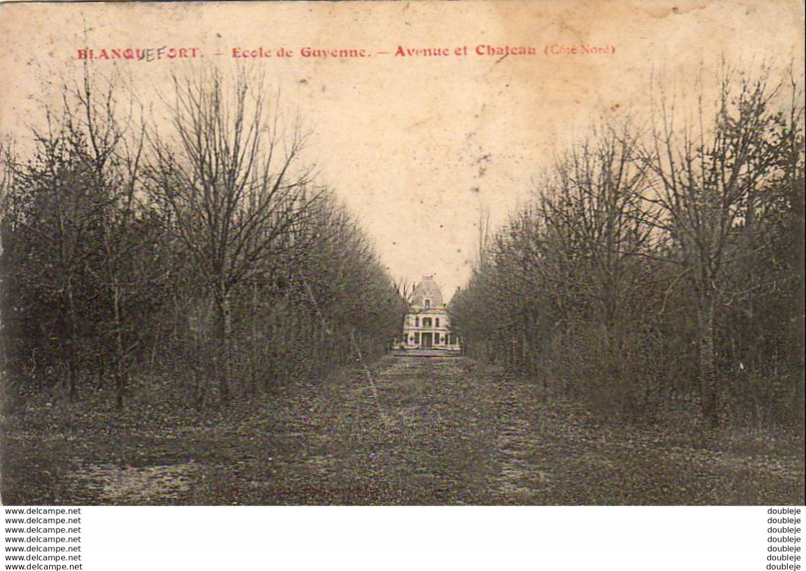 D33  BLANQUEFORT  Ecole De Guyenne- Avenue Et Chateau  ..... - Blanquefort