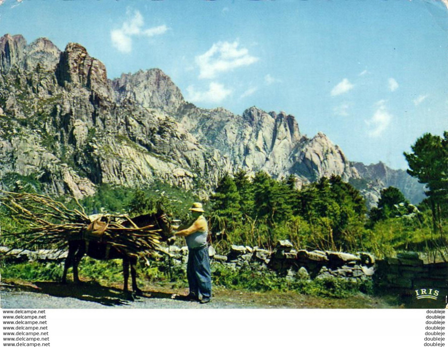 CORSE  Col De BAVELLA  Chargement De Bois - Corse